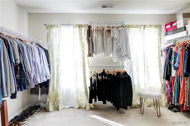 walk in closet with radiator, carpet floors, and visible vents