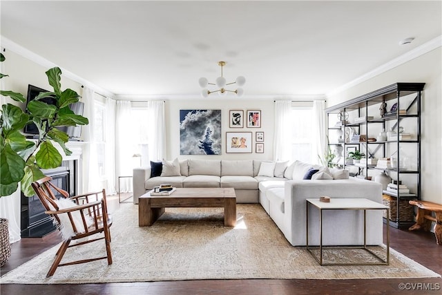 living room with a notable chandelier, a glass covered fireplace, wood finished floors, and crown molding