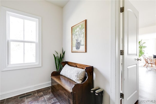 living area with visible vents and baseboards