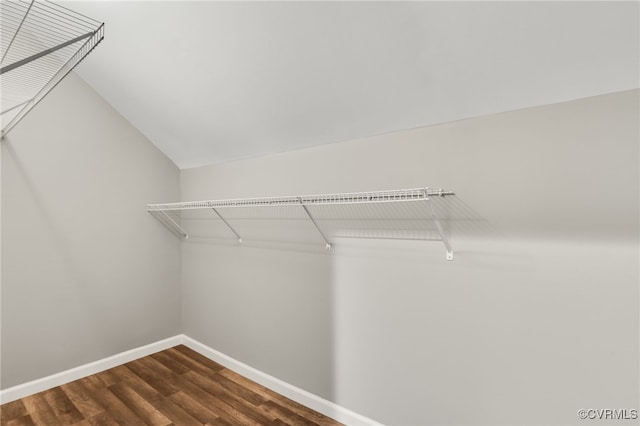 walk in closet featuring lofted ceiling and dark wood-type flooring