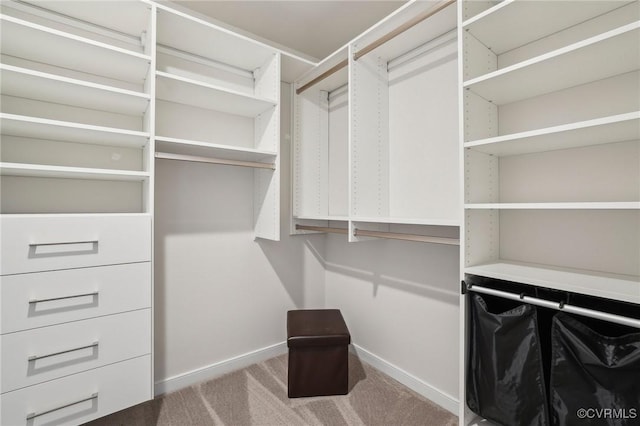 spacious closet with carpet flooring