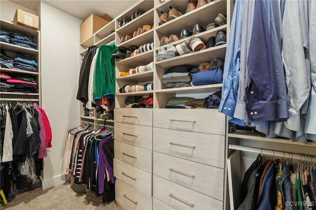 spacious closet with carpet