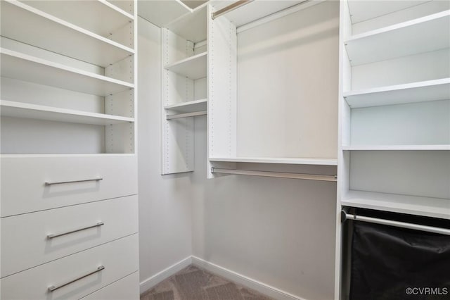 walk in closet featuring carpet flooring