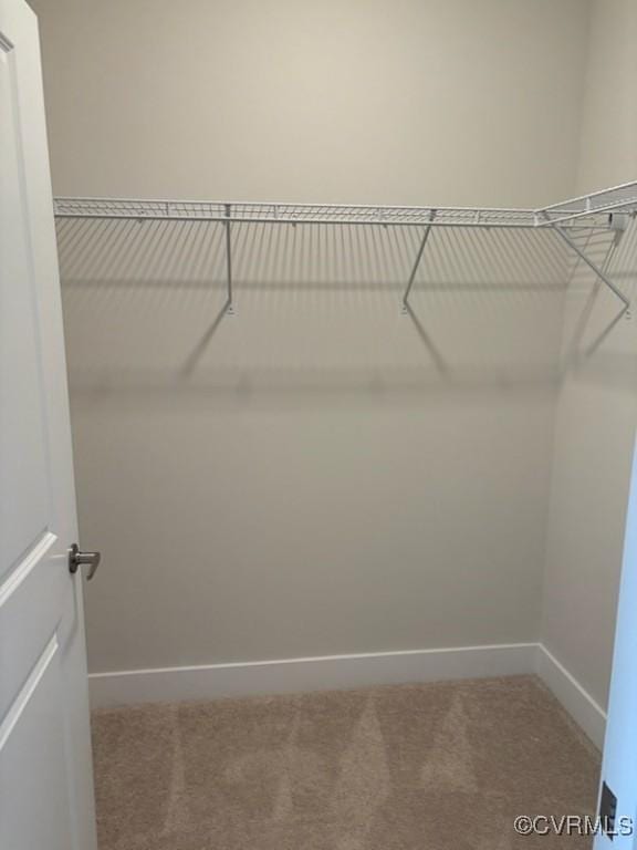 10530 Stony Bluff Dr Unit 304, Ashland, VA 23005 - spacious closet with carpet floors