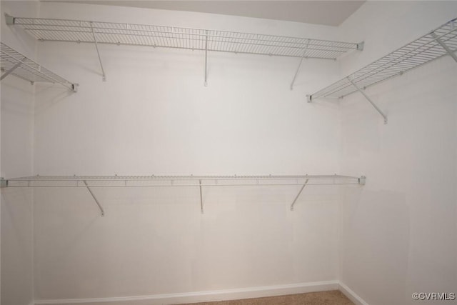 spacious closet with light colored carpet