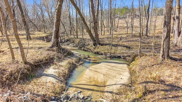 view of local wilderness