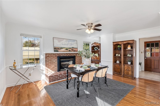 dining space featuring crown molding, a fireplace, light wood-style flooring, and ceiling fan