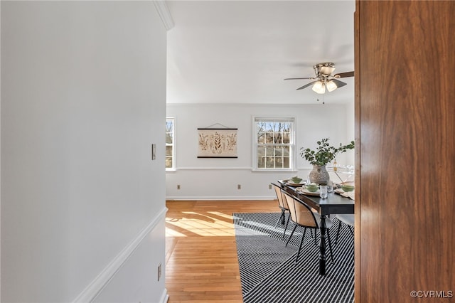 office with a ceiling fan, light wood-style flooring, and baseboards