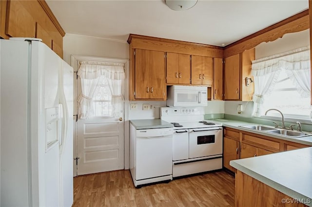 kitchen with white appliances, light wood finished floors, brown cabinetry, light countertops, and a sink