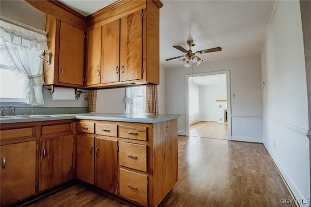 kitchen with ceiling fan, dark wood-style flooring, a sink, light countertops, and brown cabinetry