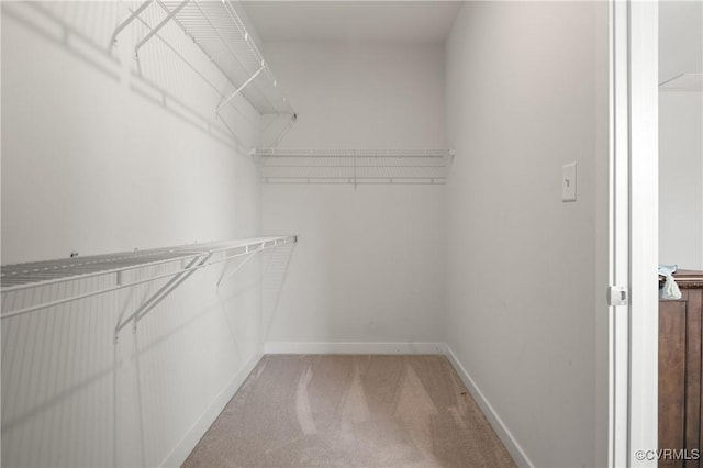 spacious closet with light carpet