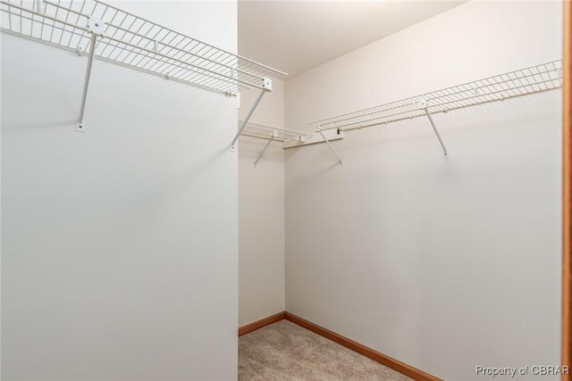 spacious closet with carpet floors