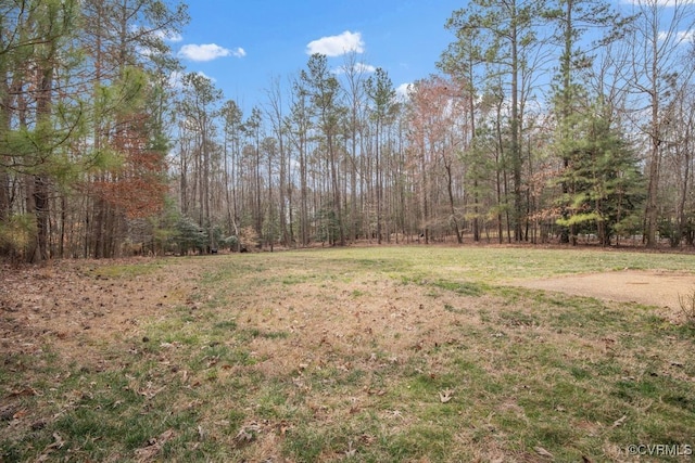 view of yard with a forest view