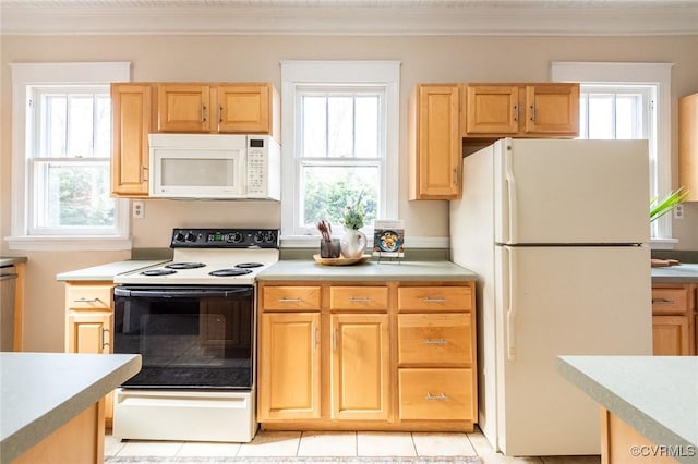 kitchen featuring light countertops, white appliances, light brown cabinetry, and a healthy amount of sunlight