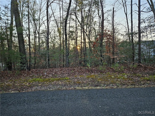 Listing photo 3 for 291 Land Or Dr, Ruther Glen VA 22546