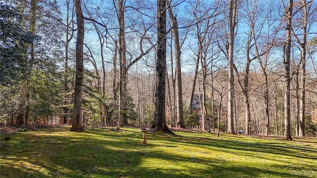 view of yard featuring a wooded view