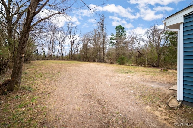 view of yard with dirt driveway