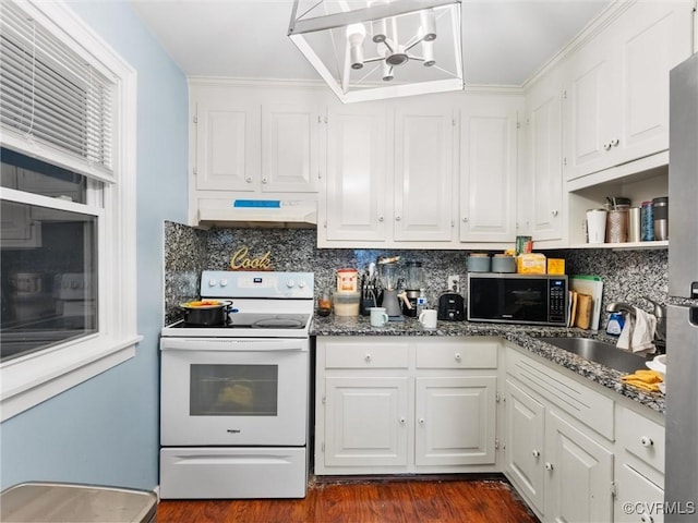 kitchen featuring under cabinet range hood, a sink, white cabinetry, white range with electric stovetop, and stainless steel microwave