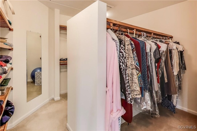 walk in closet with carpet floors