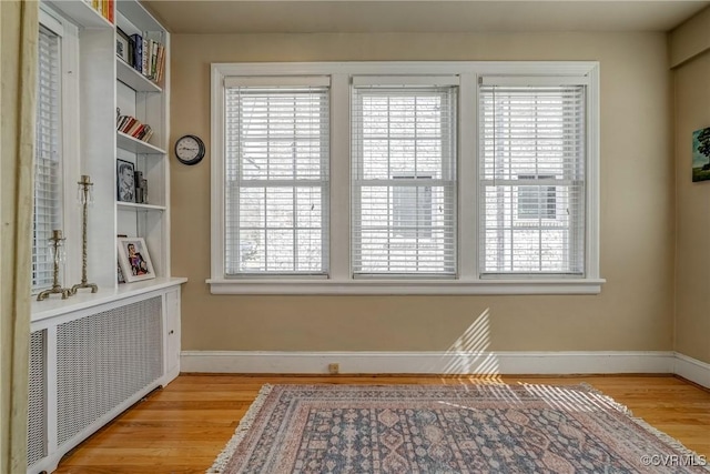 interior space with light wood-type flooring, a wealth of natural light, and baseboards