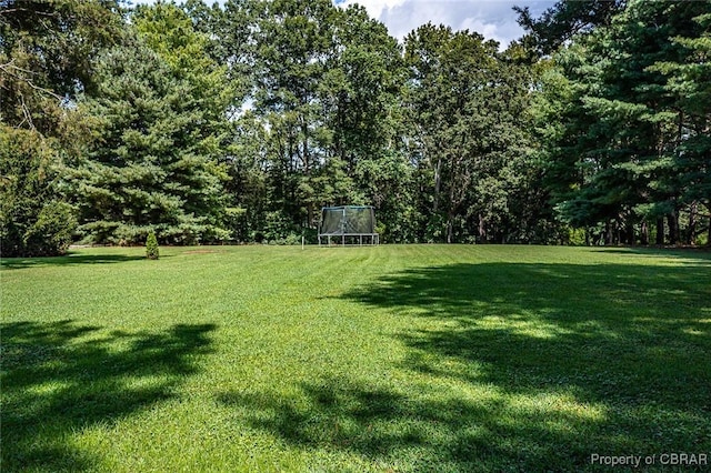 view of yard featuring a trampoline