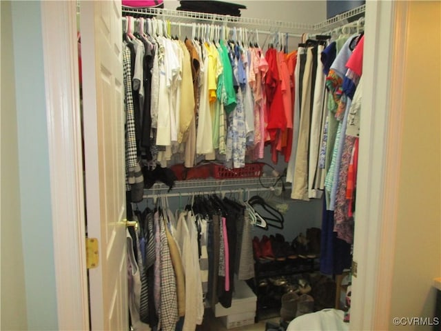 view of spacious closet