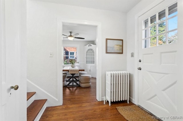 doorway featuring baseboards, a healthy amount of sunlight, wood finished floors, and radiator