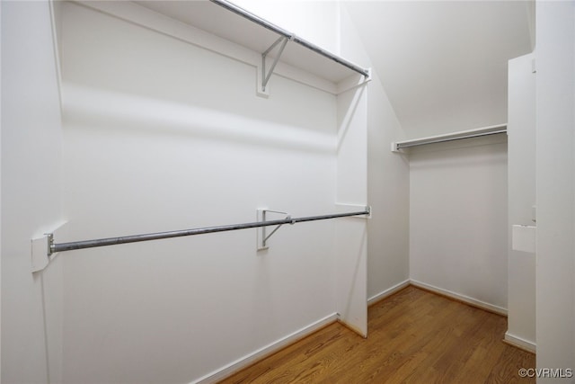 spacious closet featuring wood finished floors