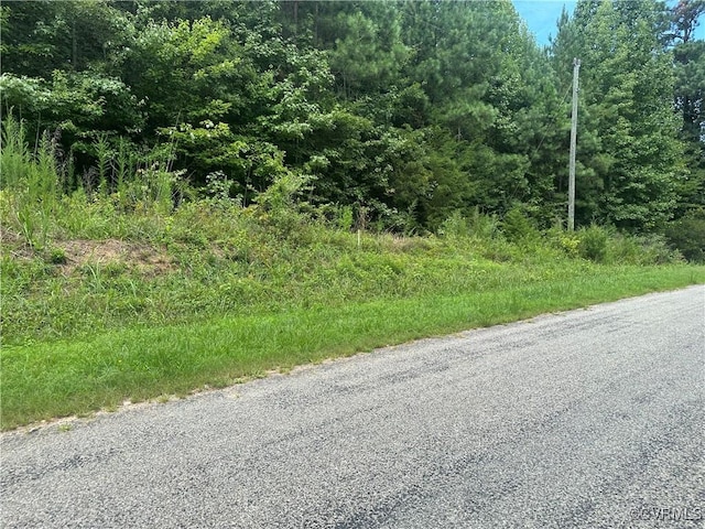 Address Not Disclosed, Emporia VA, 23847 land for sale