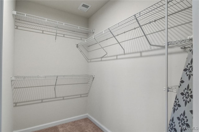 spacious closet featuring carpet floors and visible vents