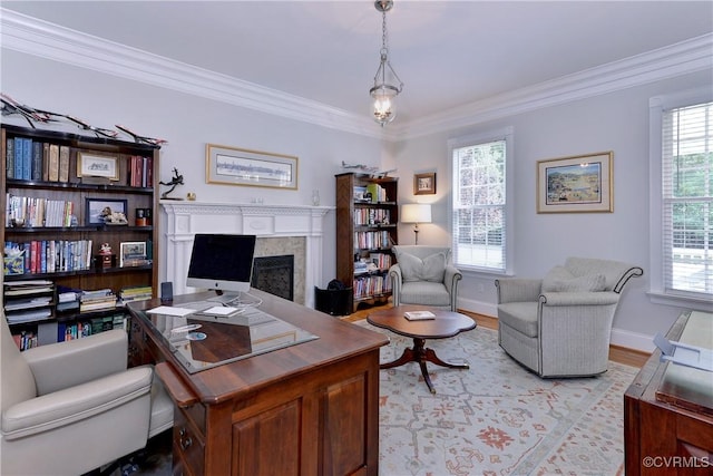 office space featuring light wood-style floors, a wealth of natural light, and crown molding