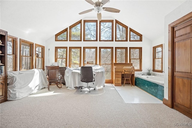 bathroom featuring high vaulted ceiling and a bath