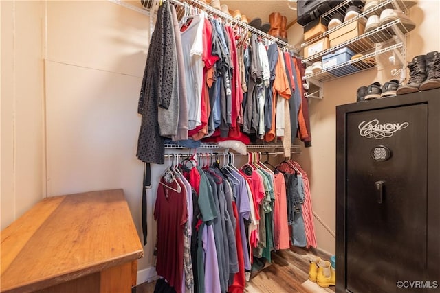 walk in closet featuring wood finished floors