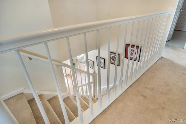 staircase with carpet flooring