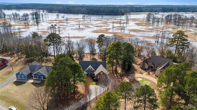 drone / aerial view with a water view and a view of trees