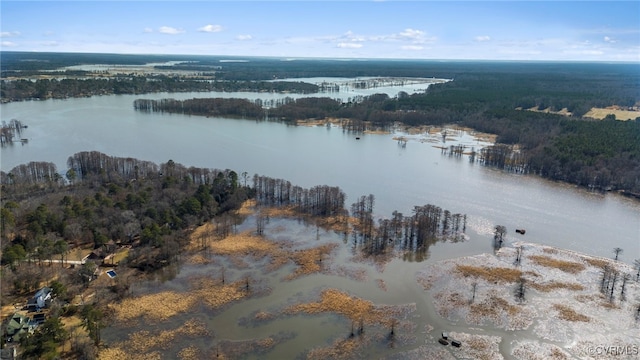 birds eye view of property with a view of trees and a water view