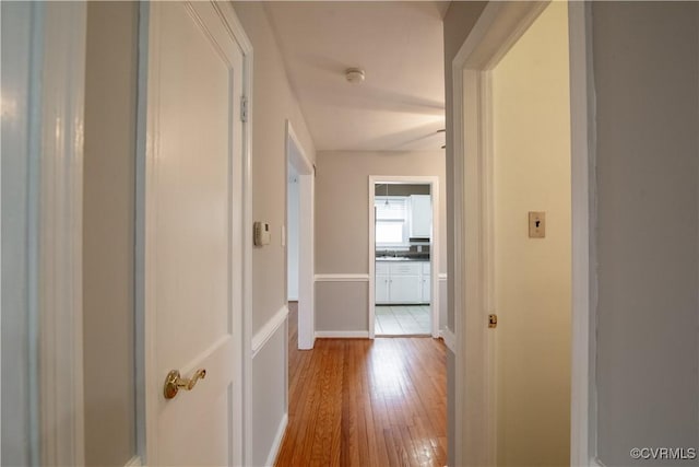 corridor featuring a sink and hardwood / wood-style floors