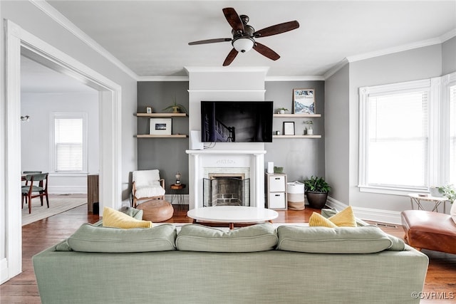 living room featuring ornamental molding, a fireplace, ceiling fan, and wood finished floors