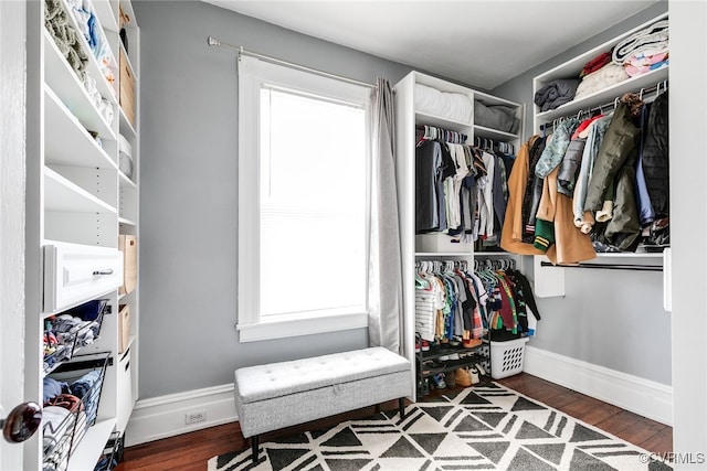 walk in closet featuring wood finished floors