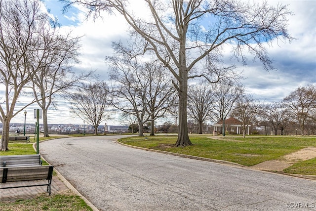 view of road with curbs