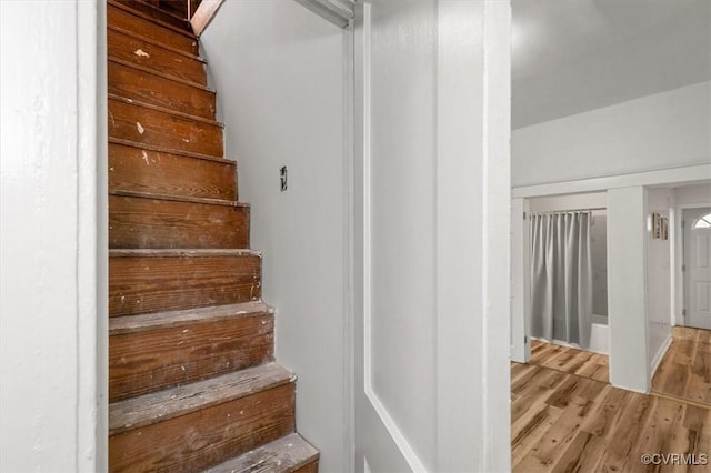 staircase featuring wood finished floors