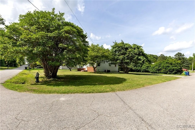 1909 Dinwiddie Ave, Hopewell, VA 23860 - view of property hidden behind natural elements with a front yard