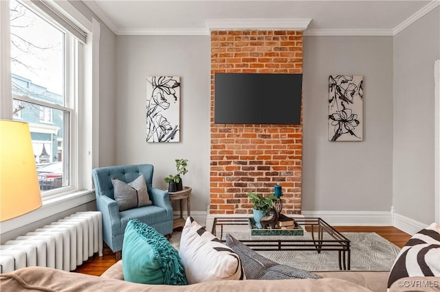 living room with a healthy amount of sunlight, radiator, wood finished floors, and ornamental molding