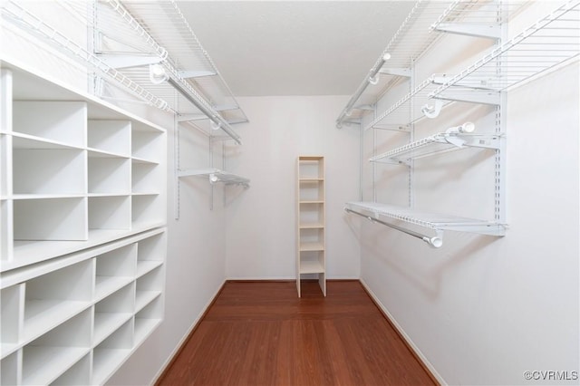 walk in closet featuring wood finished floors