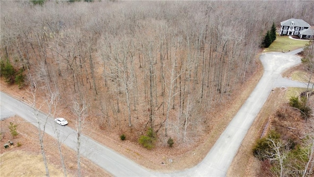 Listing photo 3 for TBD Little Sorrel Ln, Mineral VA 23117