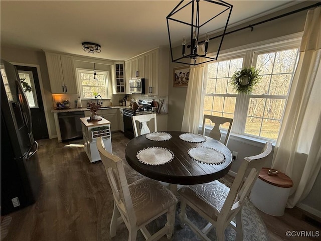 dining room with baseboards, a healthy amount of sunlight, and dark wood-style flooring