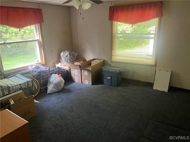 interior space with carpet floors and multiple windows