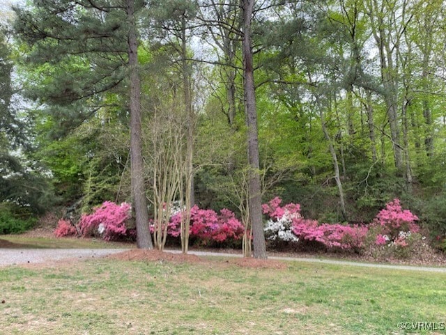 view of home's community with a lawn and a wooded view