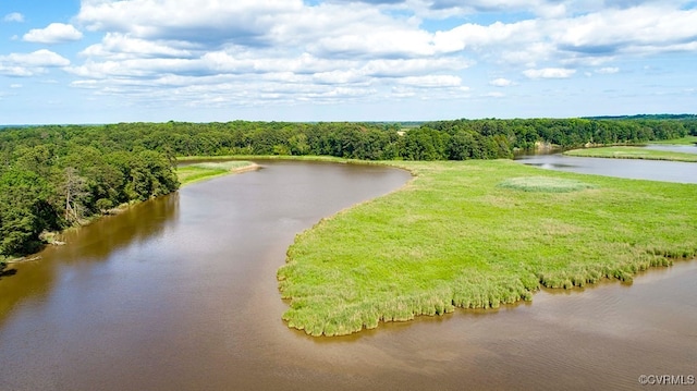 drone / aerial view with a water view and a view of trees