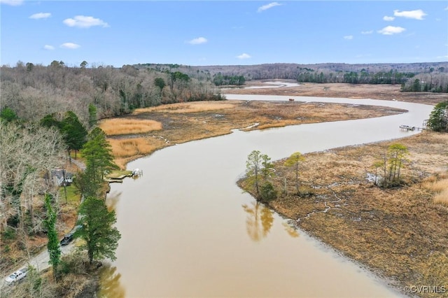 birds eye view of property featuring a water view and a view of trees